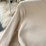Women's Mesh Splice Knitted Dress
